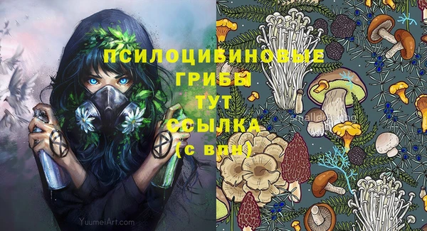 кокс Алзамай
